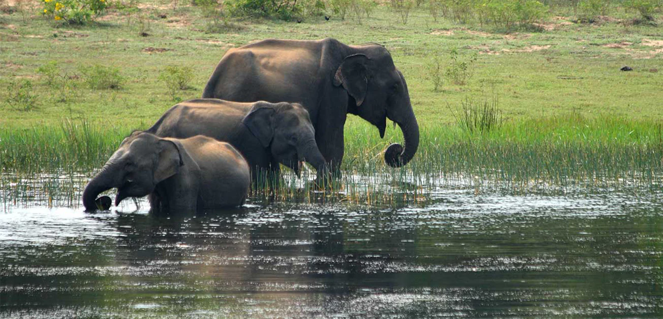 Maduru Oya National Park